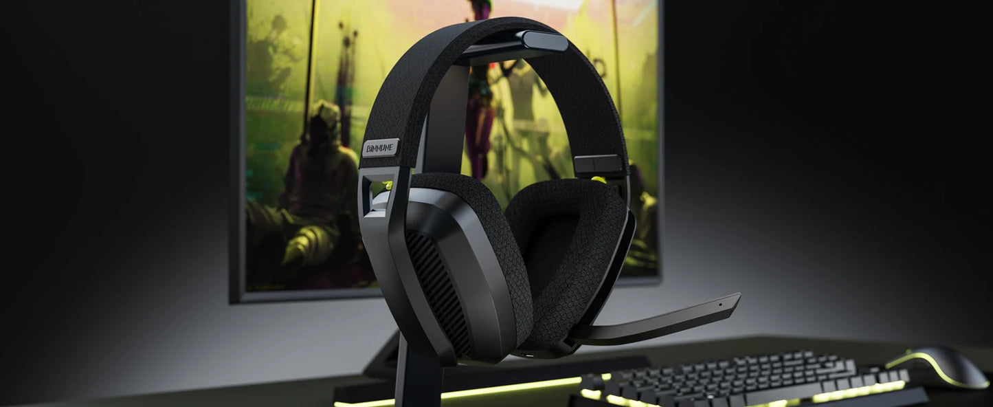 Wireless Gaming Headset with Mic